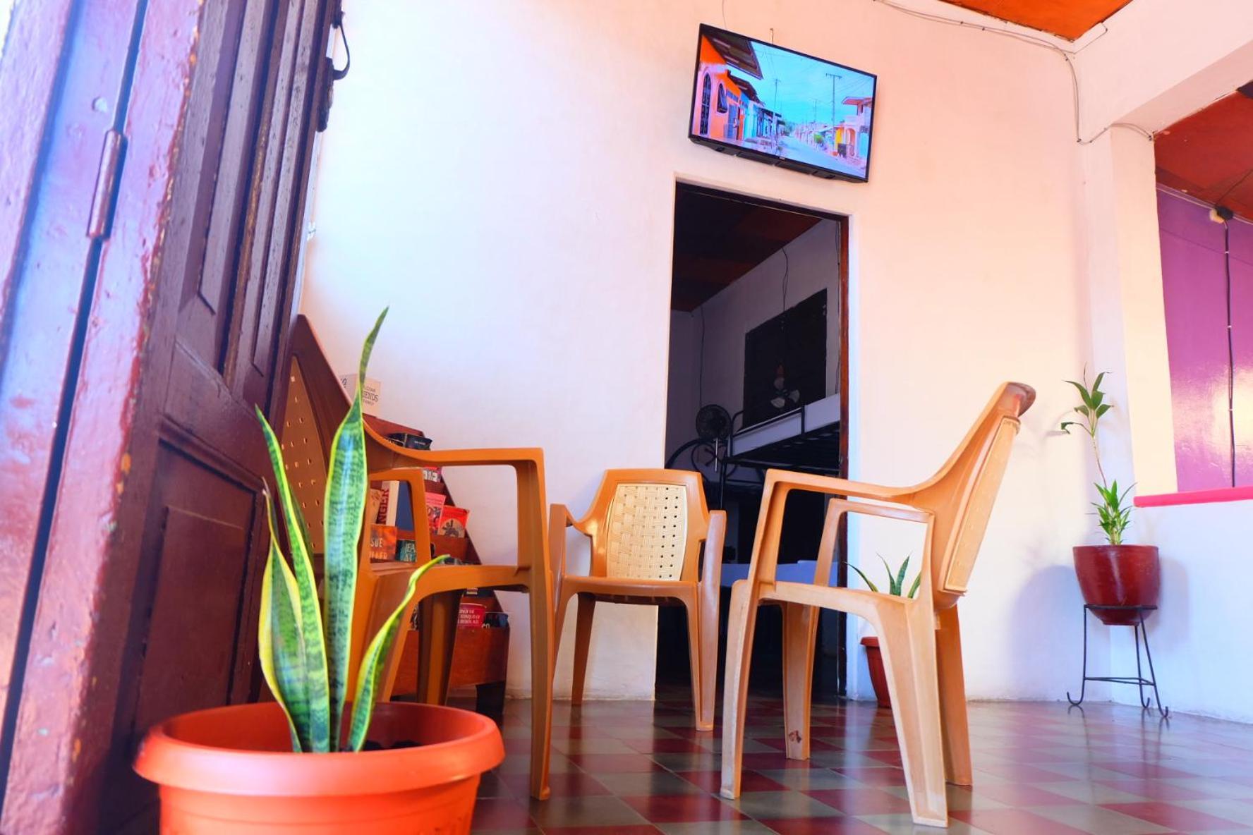 Deakachimba Hostel Granada Zewnętrze zdjęcie