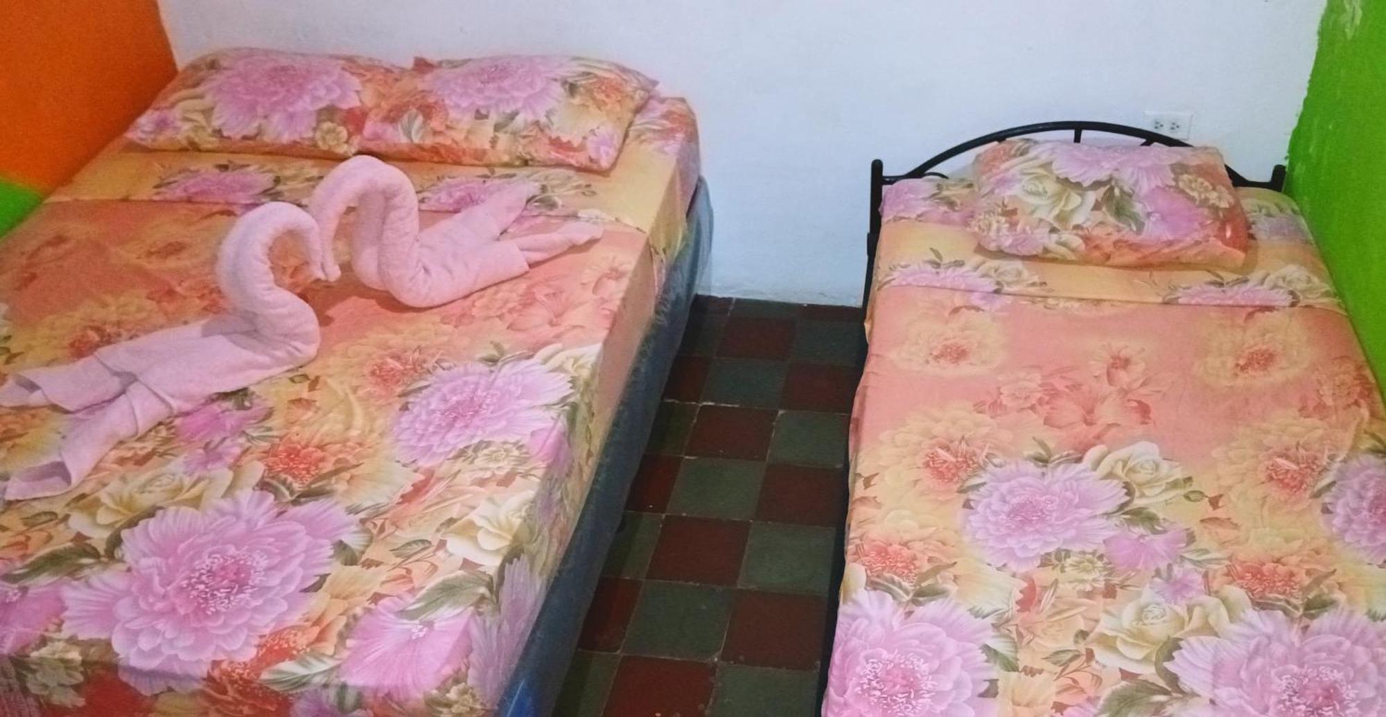 Deakachimba Hostel Granada Zewnętrze zdjęcie